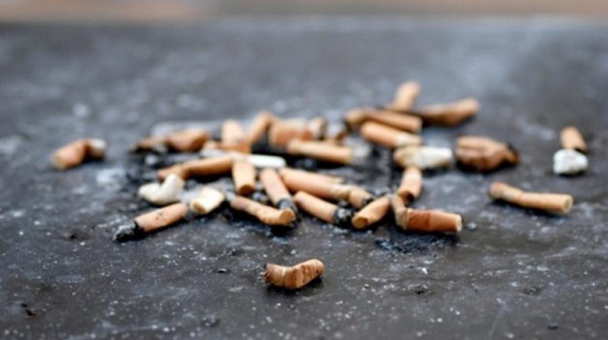 Cigarette butts can be used to make asphalt roads