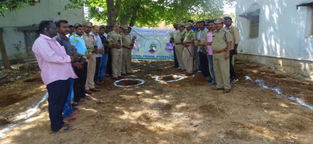 Chanchalguda jail officials plant teak, rose, ornamental plants