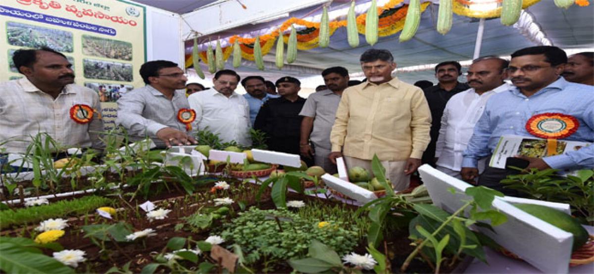 Adopt natural farming to bring down costs: CM