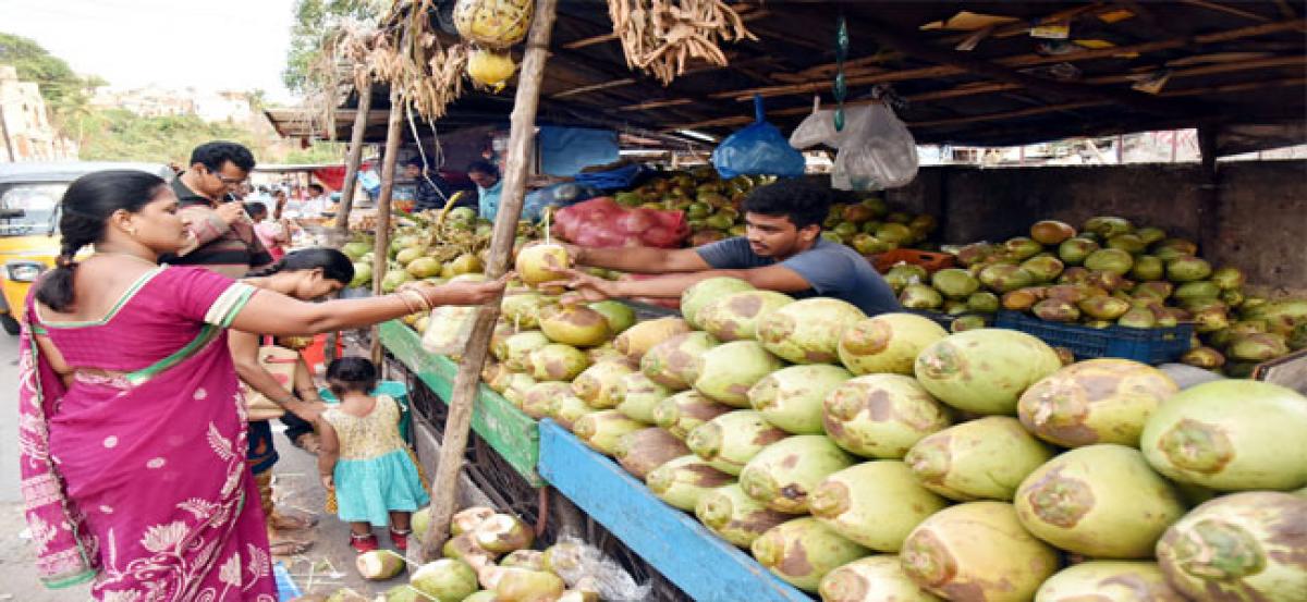 Coconut prices go up steeply due to low production