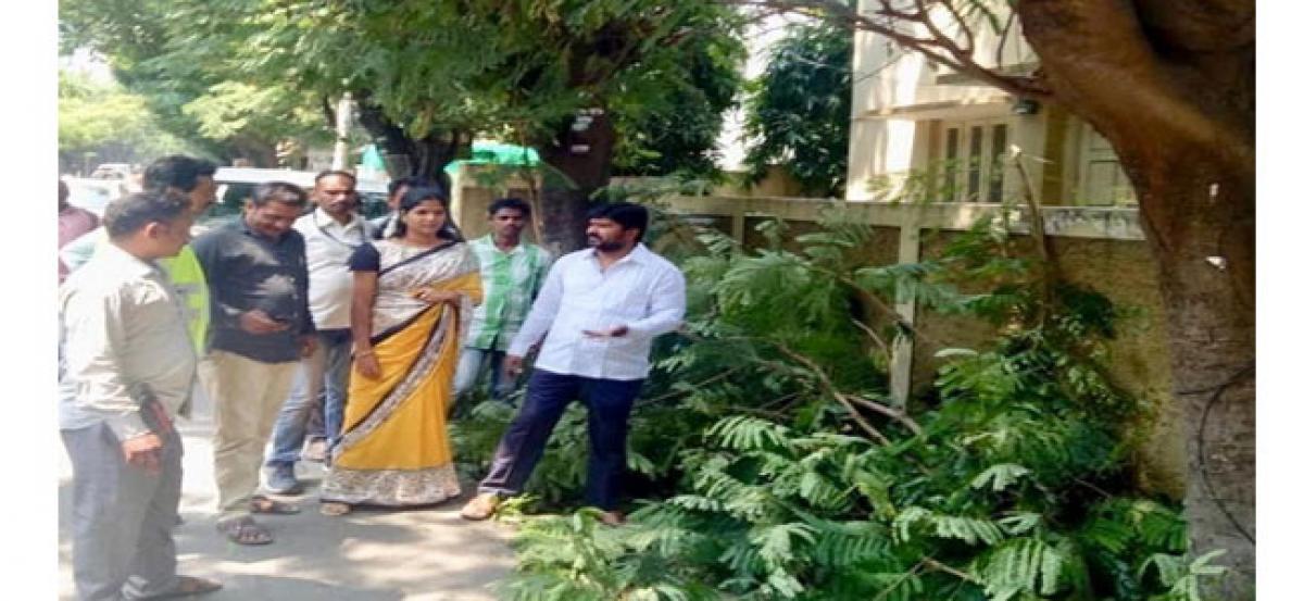 Corporator supervises removal of tree branches
