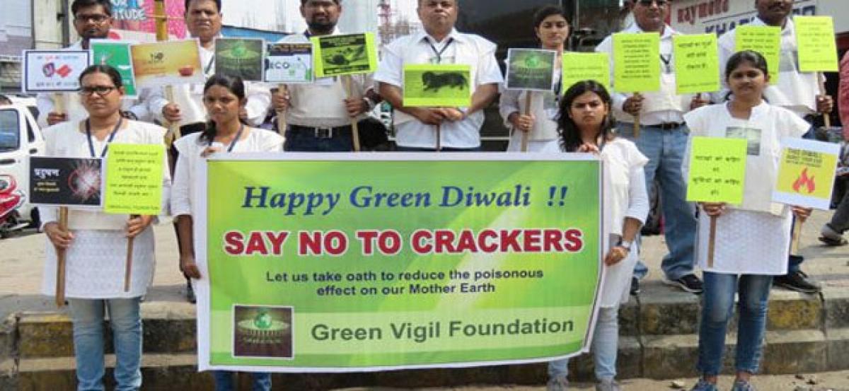 Activists bat for mass awareness and access to green crackers