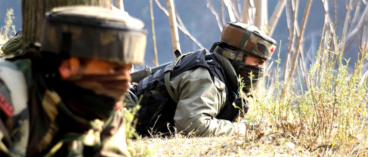 Security forces increase footprint in terrorist bastion Shopian