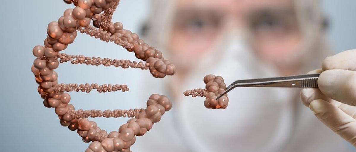 CRISPR gene editing may be risky: Study