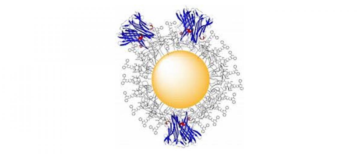 Gold nanoparticles used to treat prostate cancer for the first time