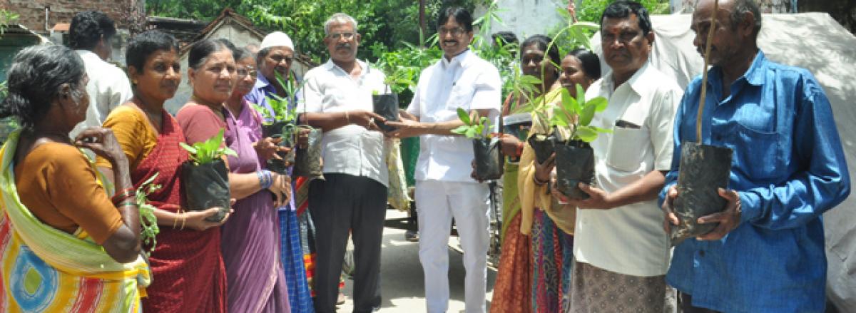 Without plants existence of humans impossible: Corporator