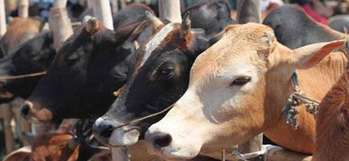 Hyderabad: Cattle seller thrashed for intervening in a clash