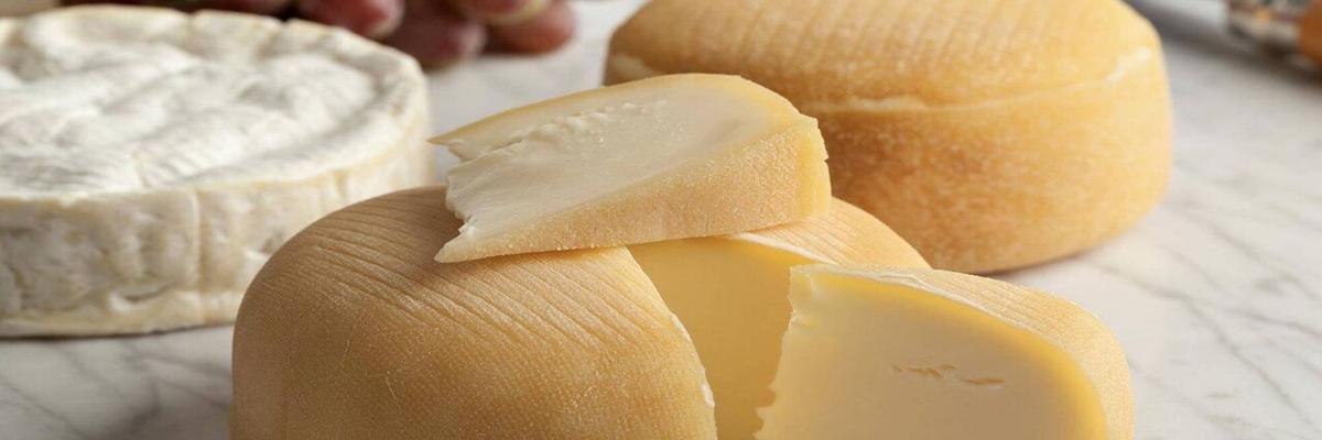 Learn about cheese making