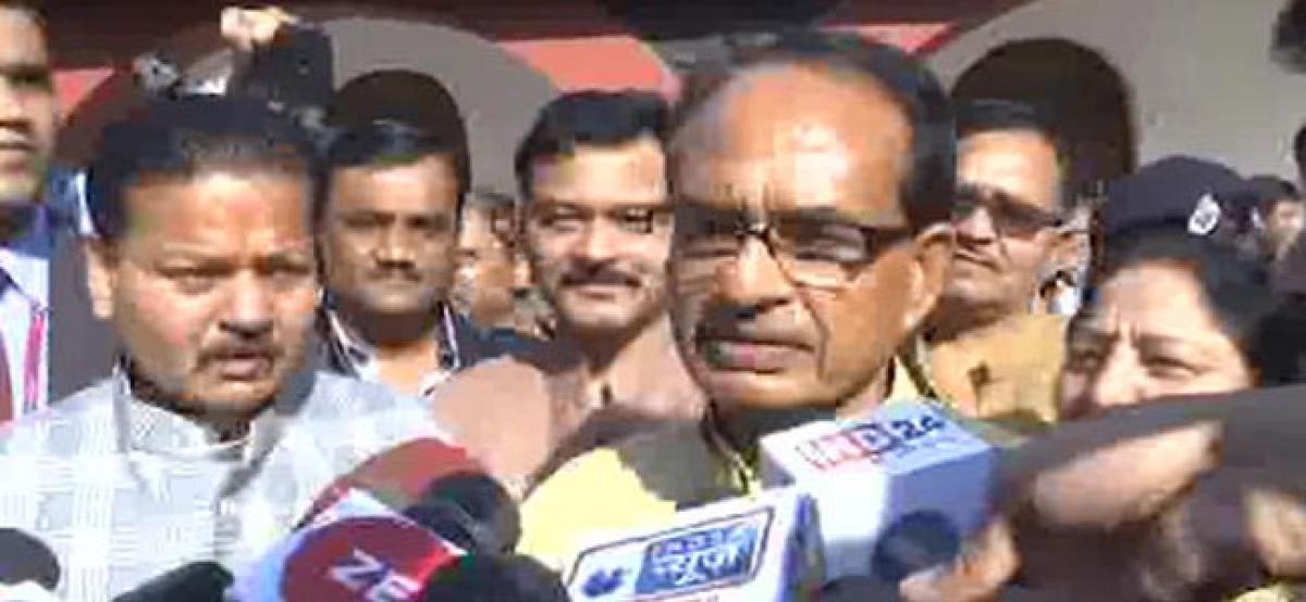 Cabinet reshuffle aimed at fetching better results: Chouhan