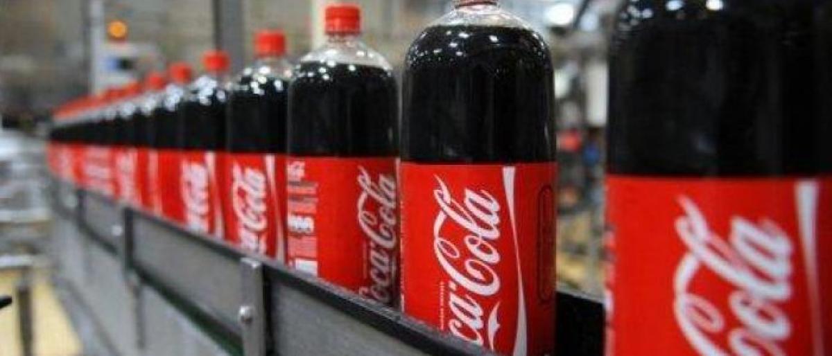 Coca-Cola plant goes green in Vijayawada