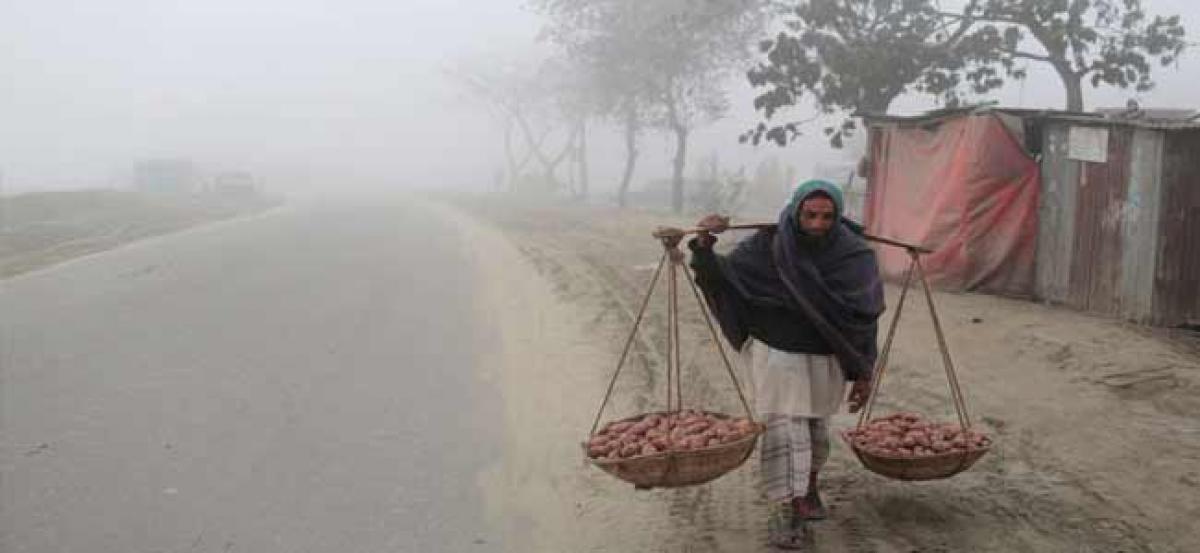 Cold conditions persist in Punjab, Haryana