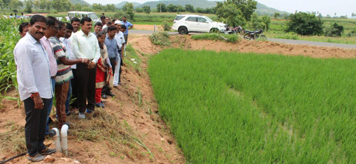 Farmers told to follow agri officials’ advise to get higher yield