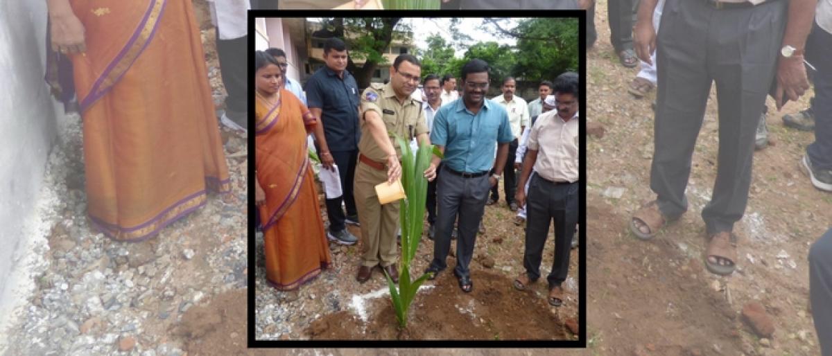 Kothagudem Collector, SP plant saplings