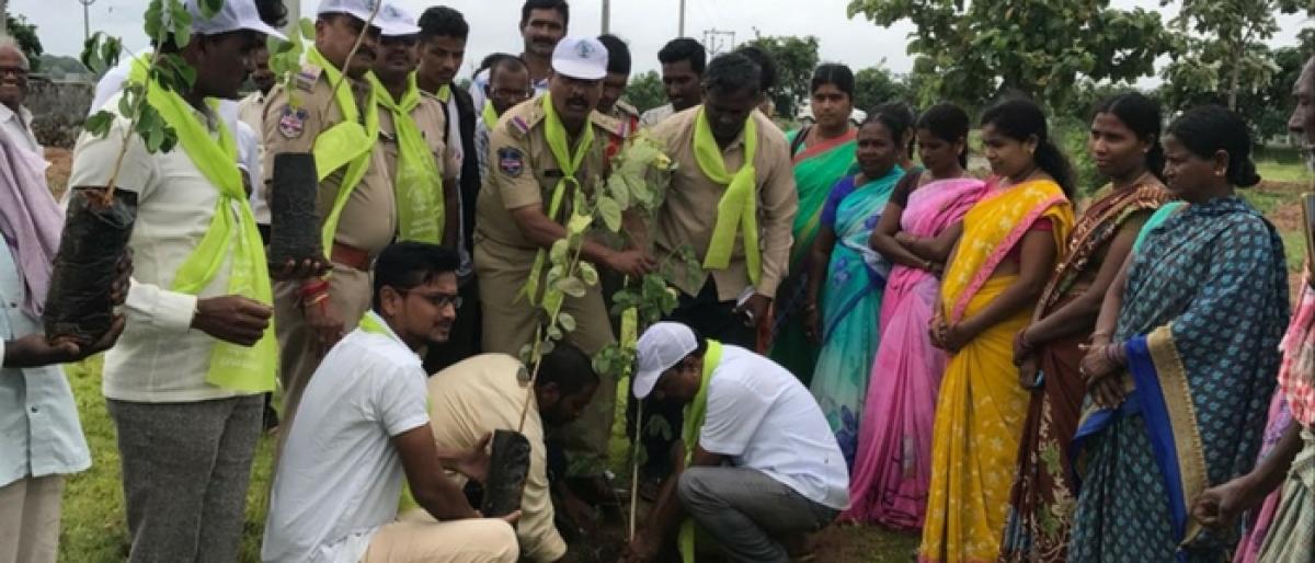 Cops plant saplings