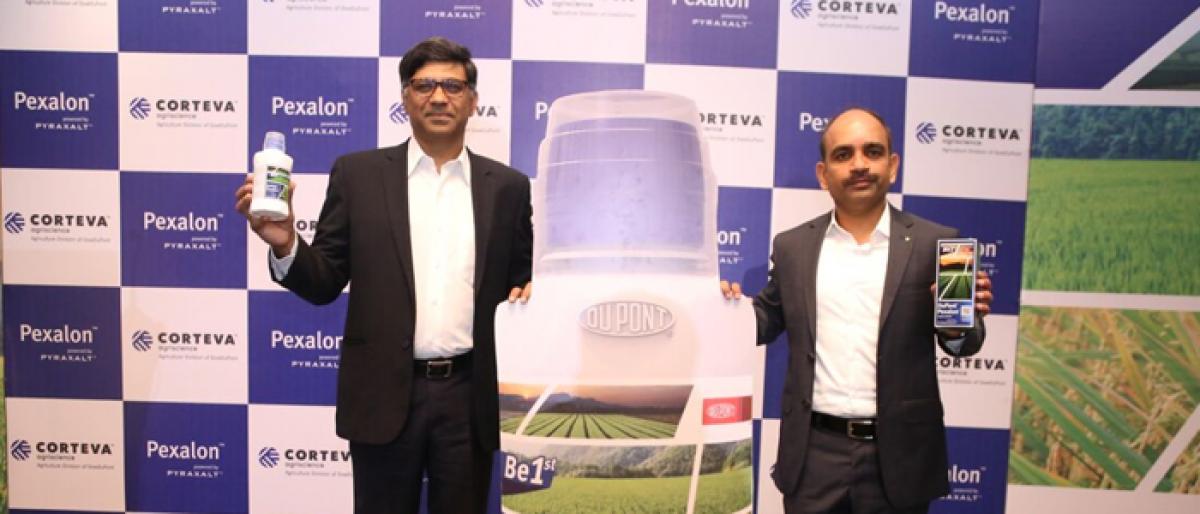 Corteva launches new pesticide for paddy