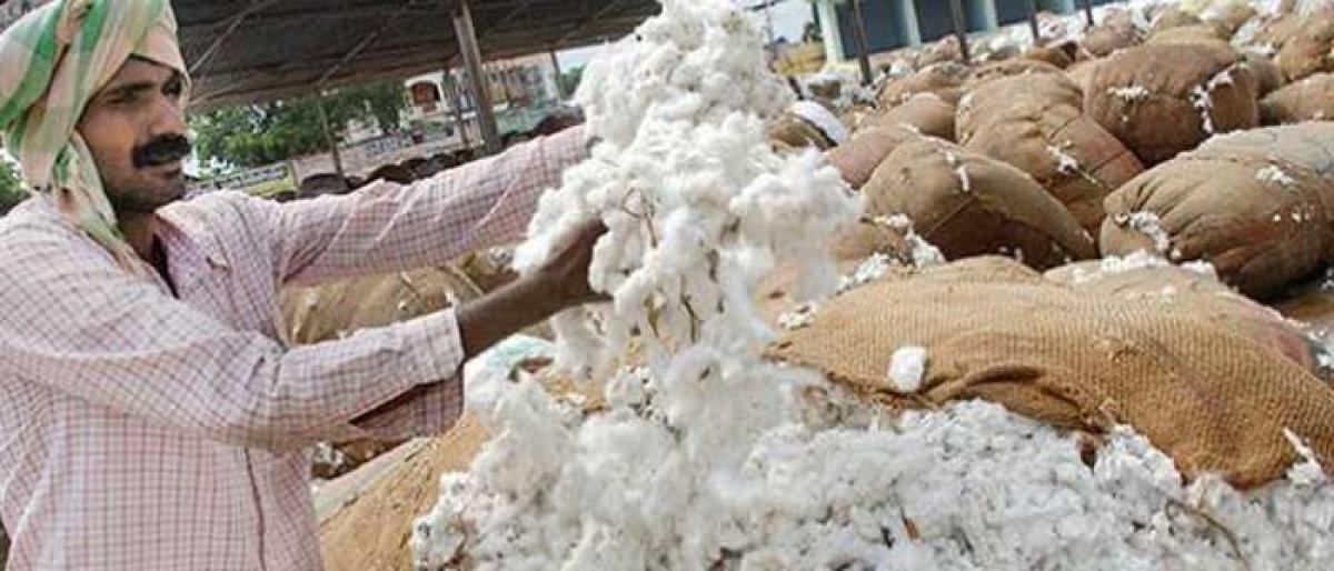 Cotton farmers demand better MSP