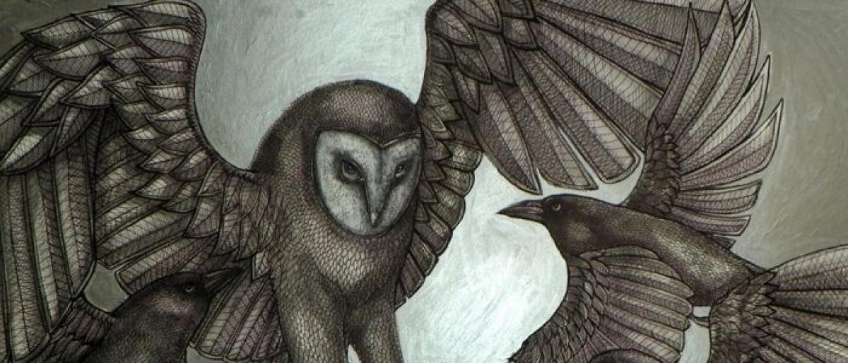 The War of Crows and Owls