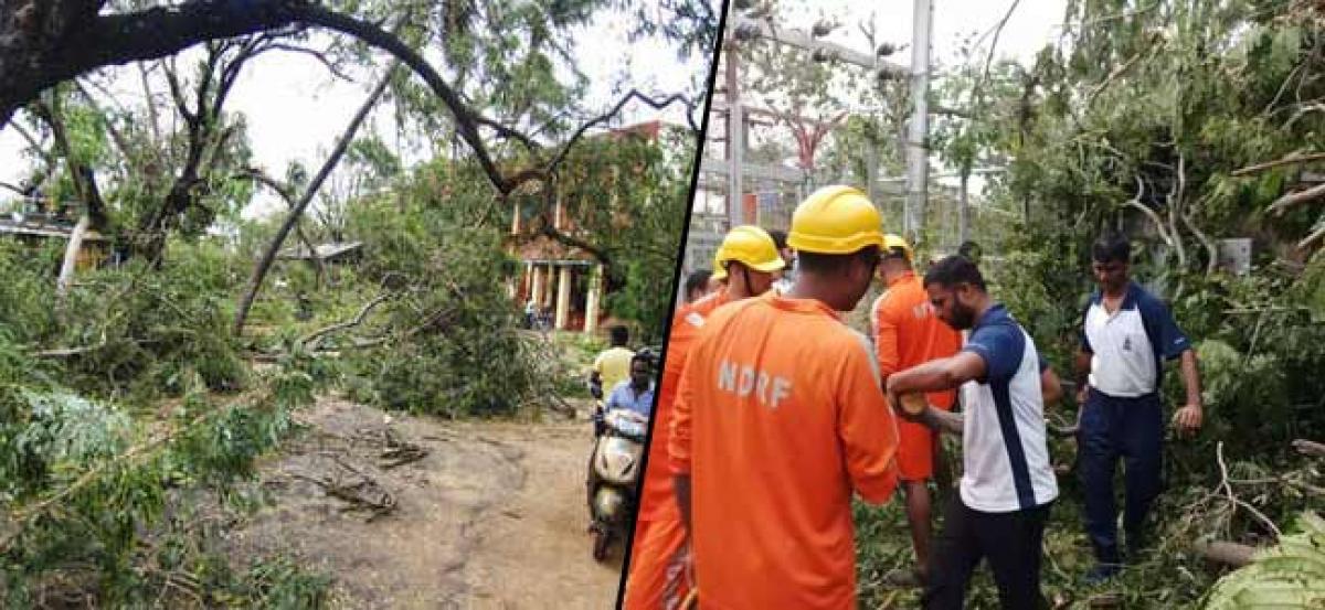 Cyclone Gaja: Wind speeds in the city of Bangalore increased by four times