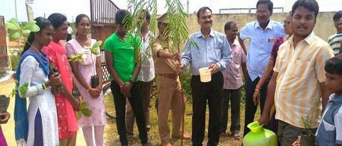 Target set for planting trees in 2.1 lakh hectares: DFO