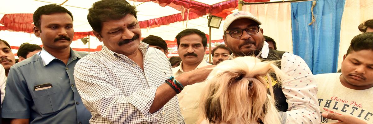 Ganta Srinivasa Rao inaugurates Vizag Dog Show; pampers pets