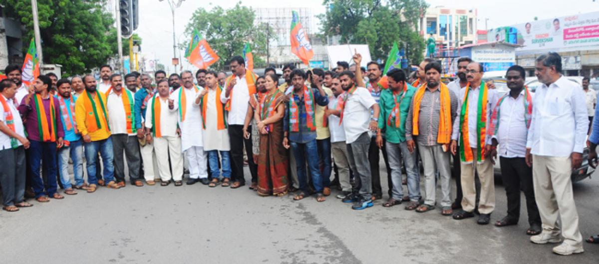 BJP cadres stage protest