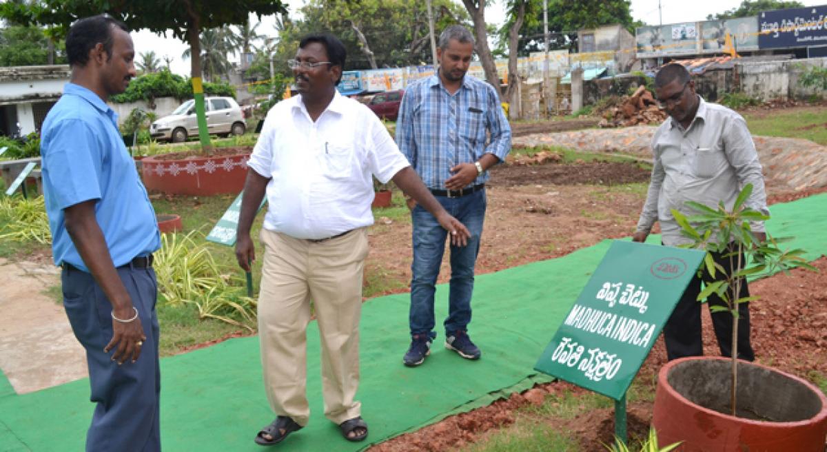 Nakshatra Vanam drawing nature lovers in droves