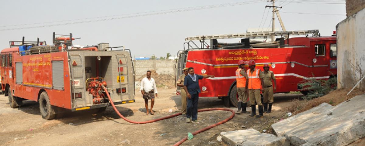 More than 15,000 chilli bags gutted