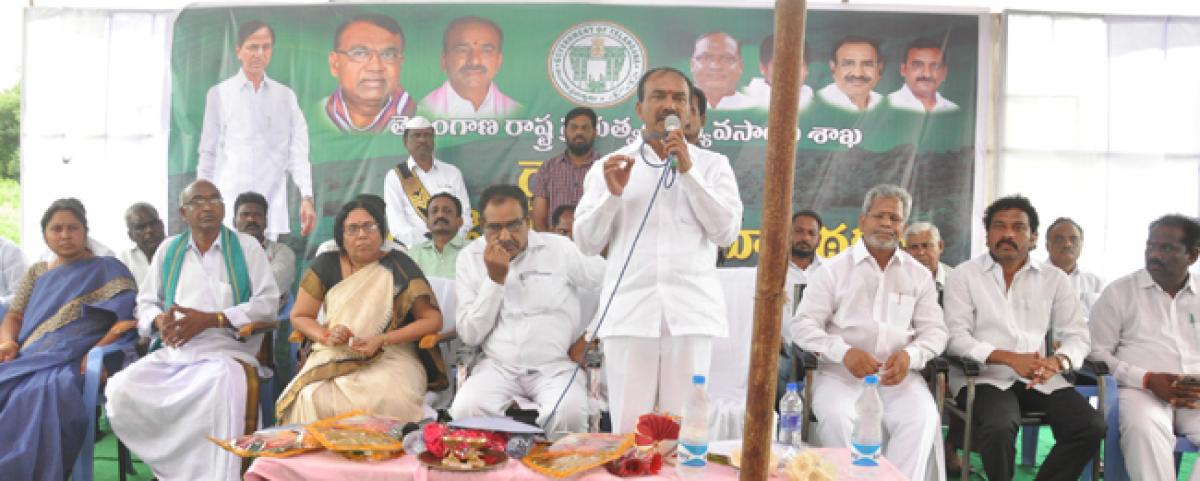 TS State investing `55,000 cr per annum for farming sector