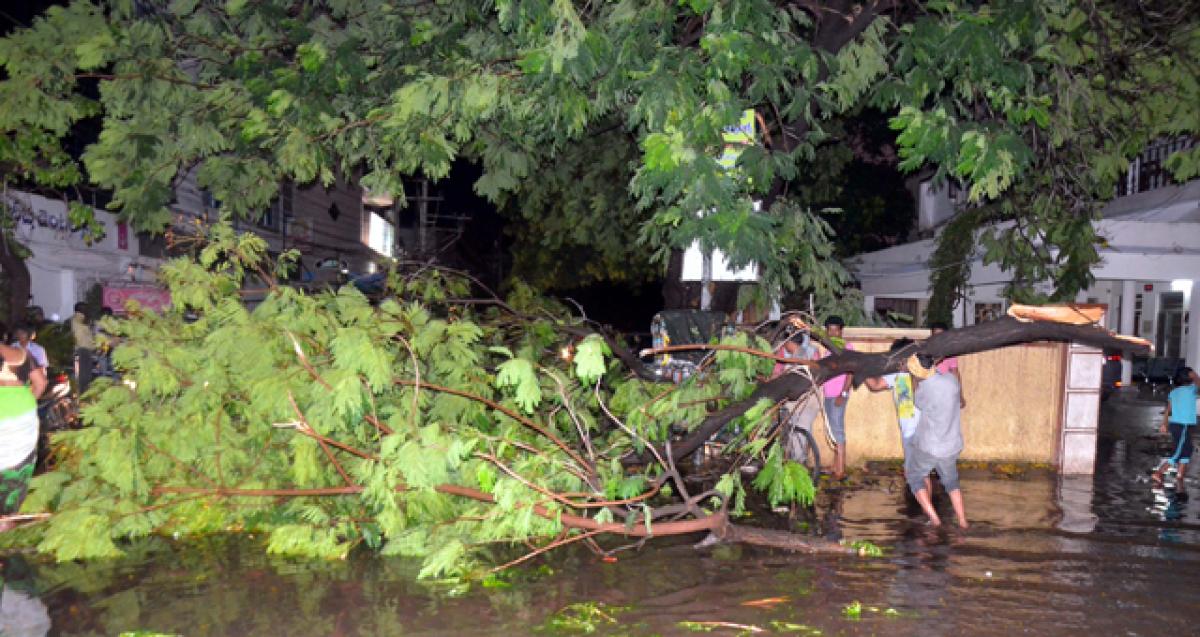 Heavy rains, gale lash Vijayawada