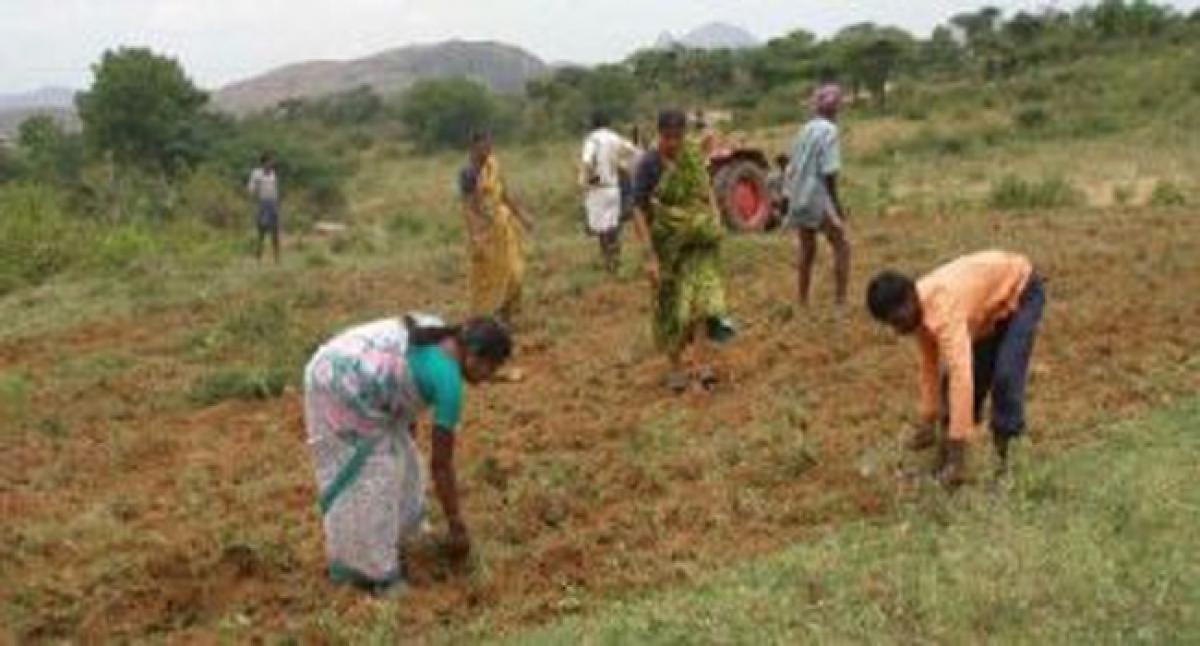 Funds crunch hits land distribution to Dalits in Mahbubnagar