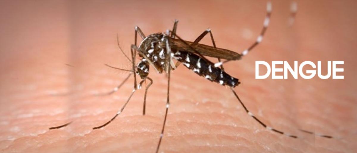 Fresh 285 dengue cases reported in last week