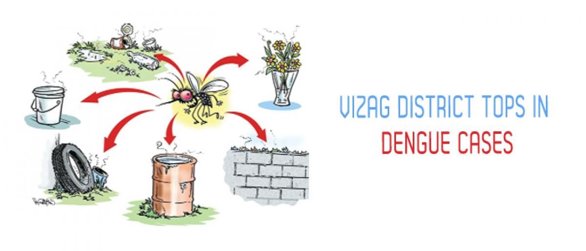 Vizag district tops in dengue cases