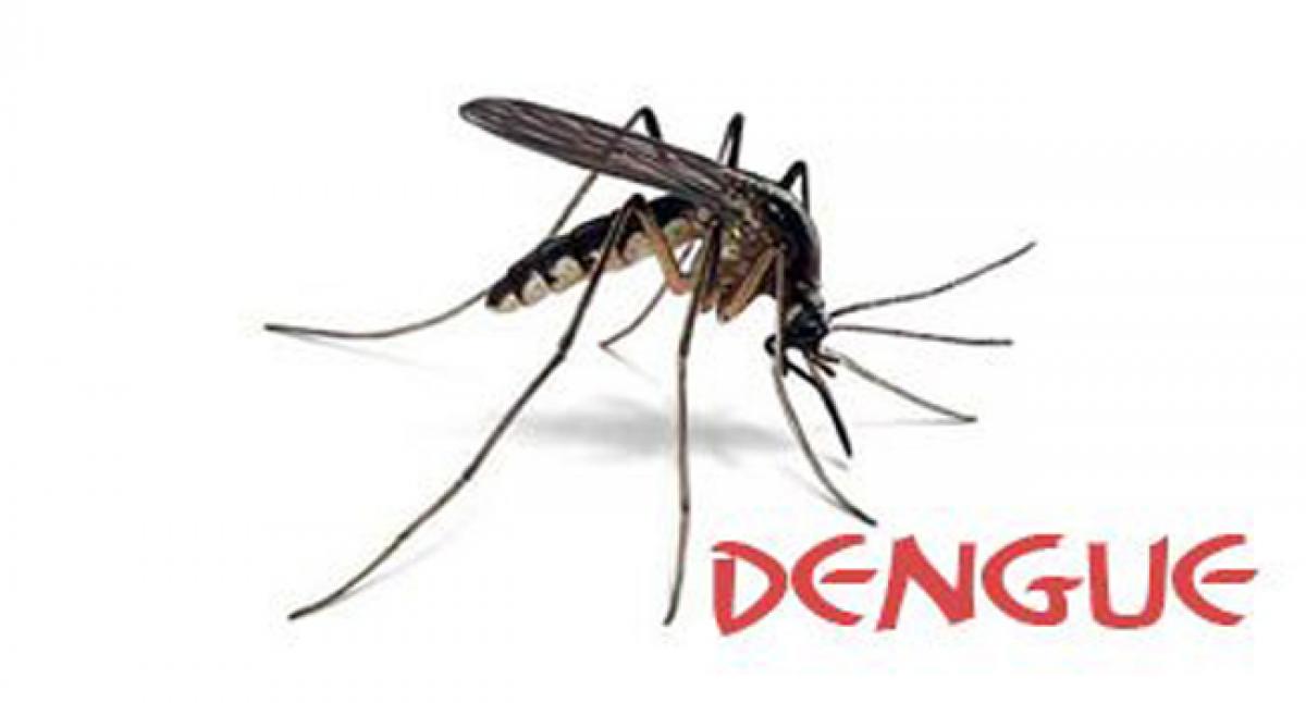 9 dengue cases registered in Guntur