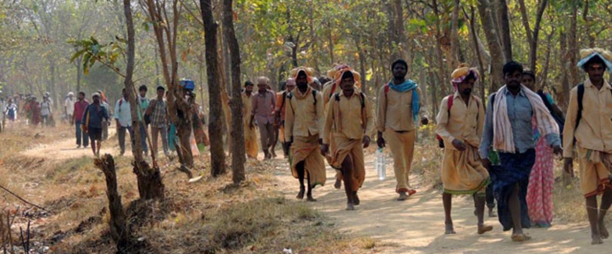 Thousands pass through forest to reach Srisailam on Sivaratri