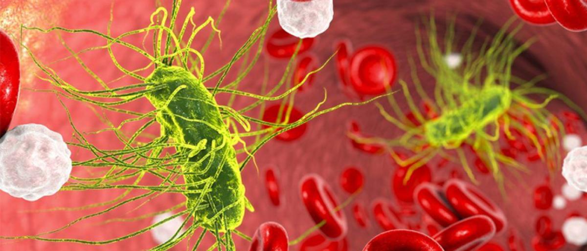 New inflammation inhibitor could treat sepsis