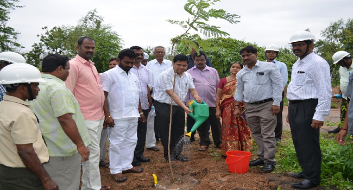 Suryapet gets ready for green drive