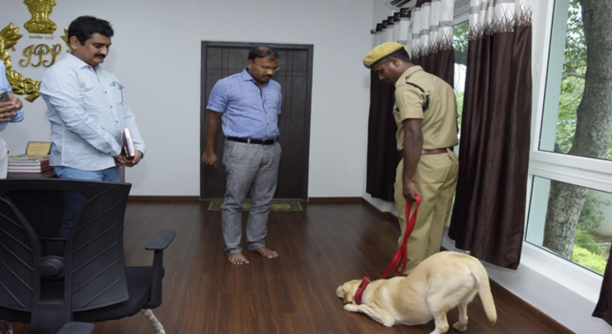 Sniffer dog inducted into district police wing