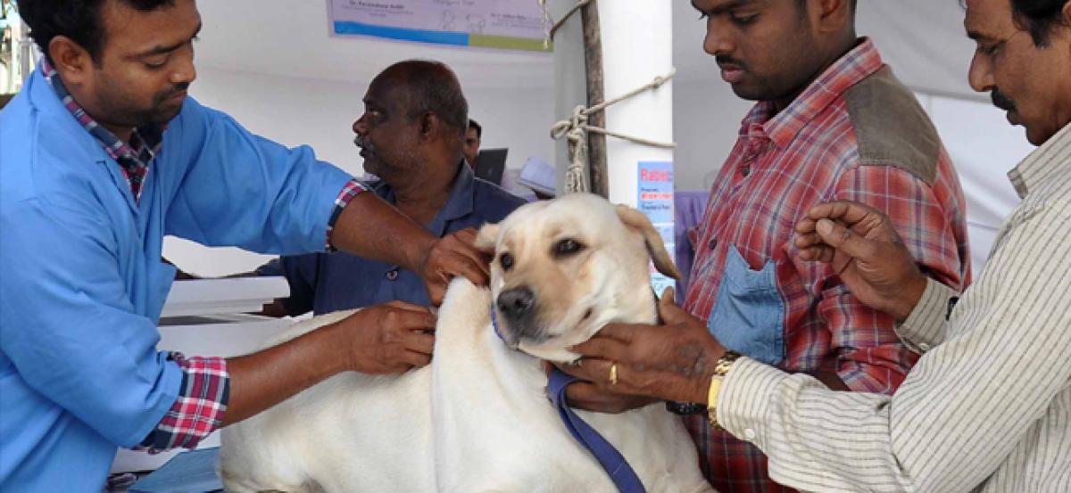 Indian Immunologicals organizes nationwide free animal vaccination campson the occasion of ‘World Zoonosis Day’