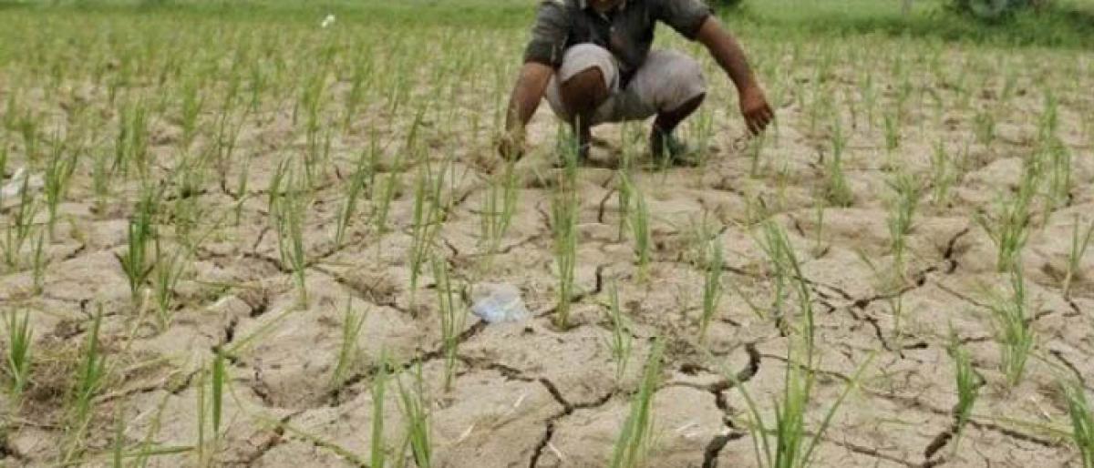 153 mandals to be declared drought-hit in Telangana