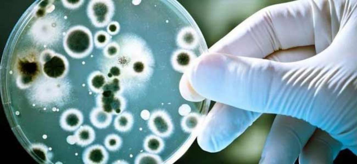 Drug resistant superbugs are killing 33,000 in Europe each year