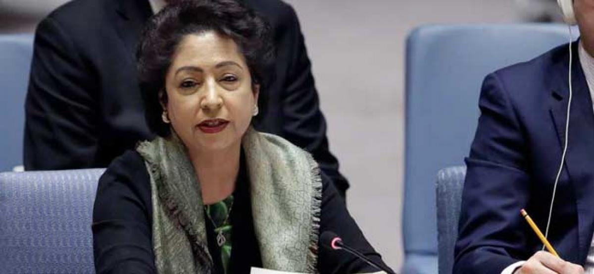 Building peaceful neighbourhood Paks foreign policy priority: UN envoy