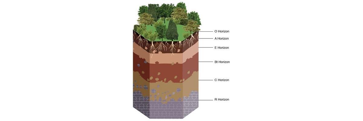 Learn about soil layers