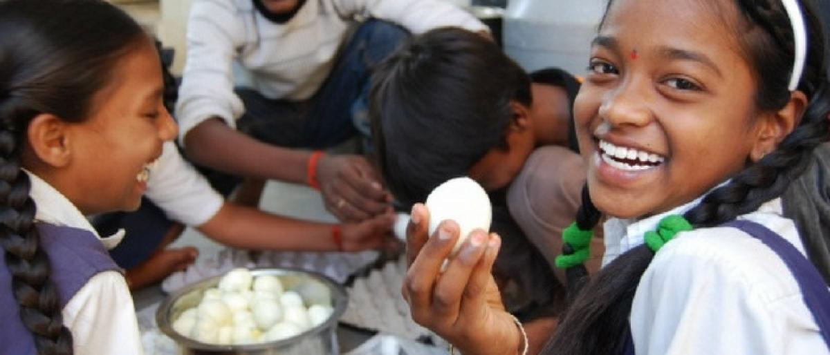 Now, egg must in midday meal