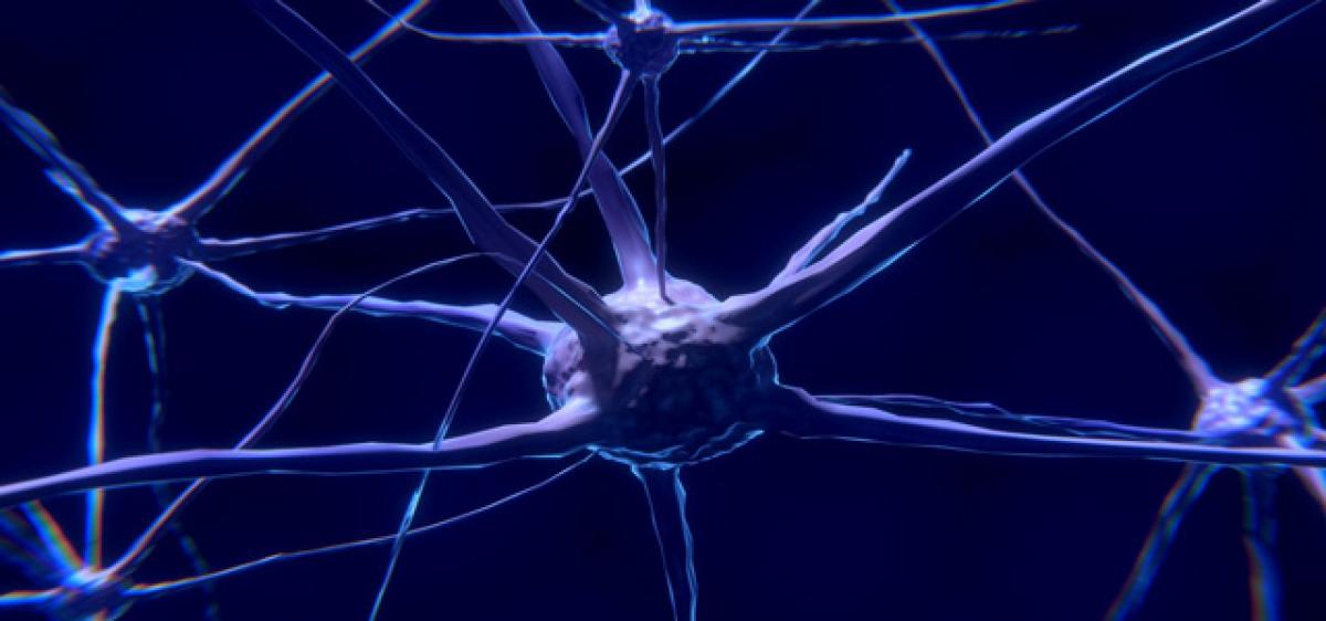 Enzyme to preserve nerve function identified