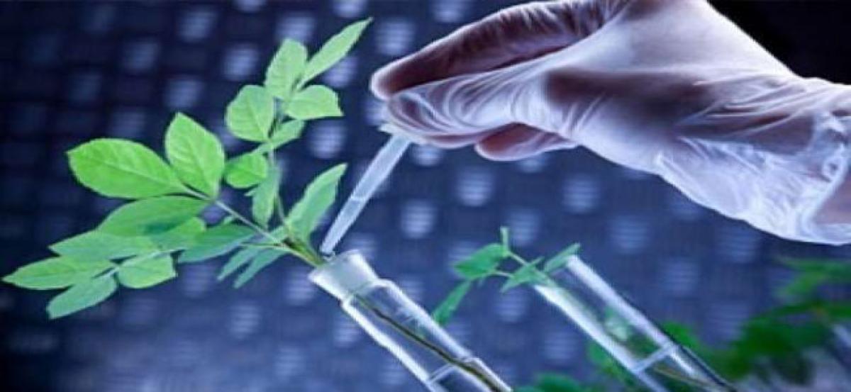 Budget for agri-research may go up 15% in 2018-19