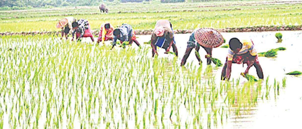 Landless labour may be brought under insurance scheme