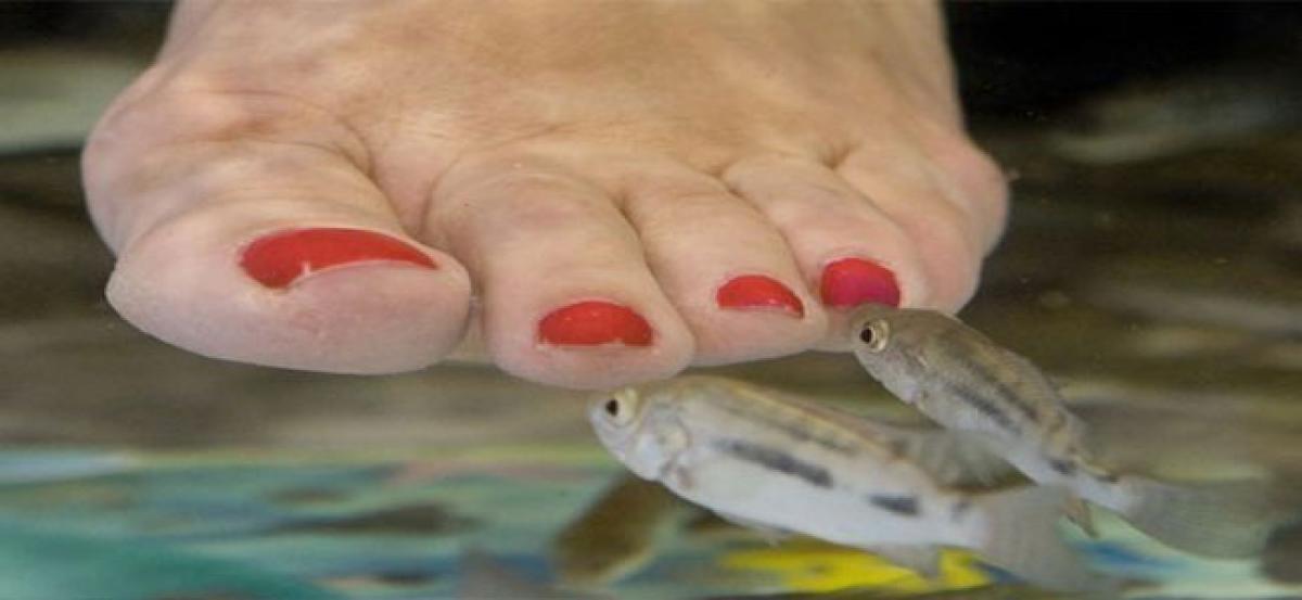 Fish pedicure now in city