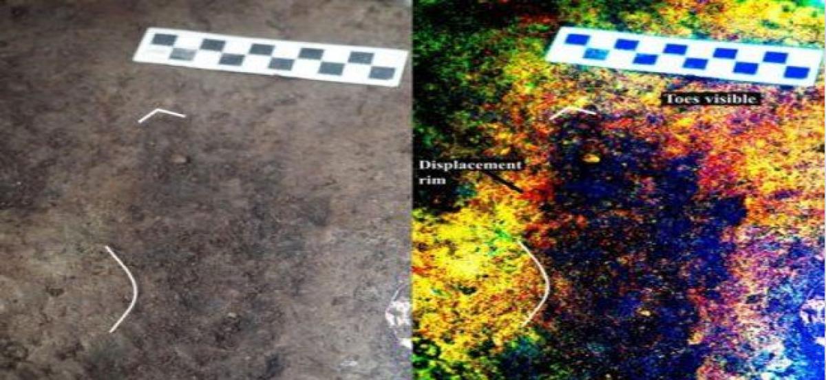 13,000-year-old human footprints discovered off Canadian coast