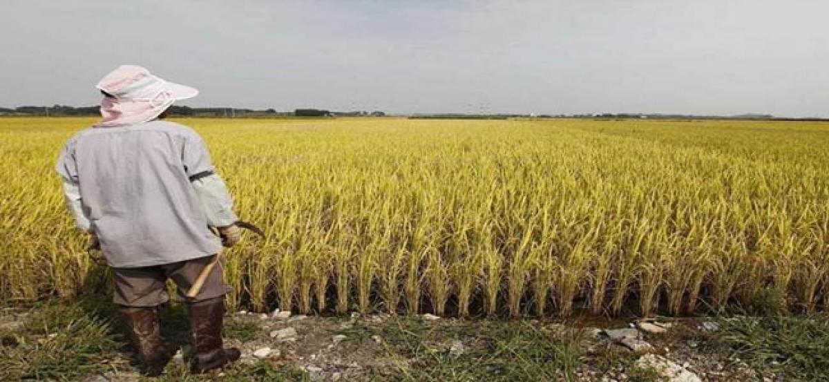 Congress demands government to provide Rs 15k per acre for farmers