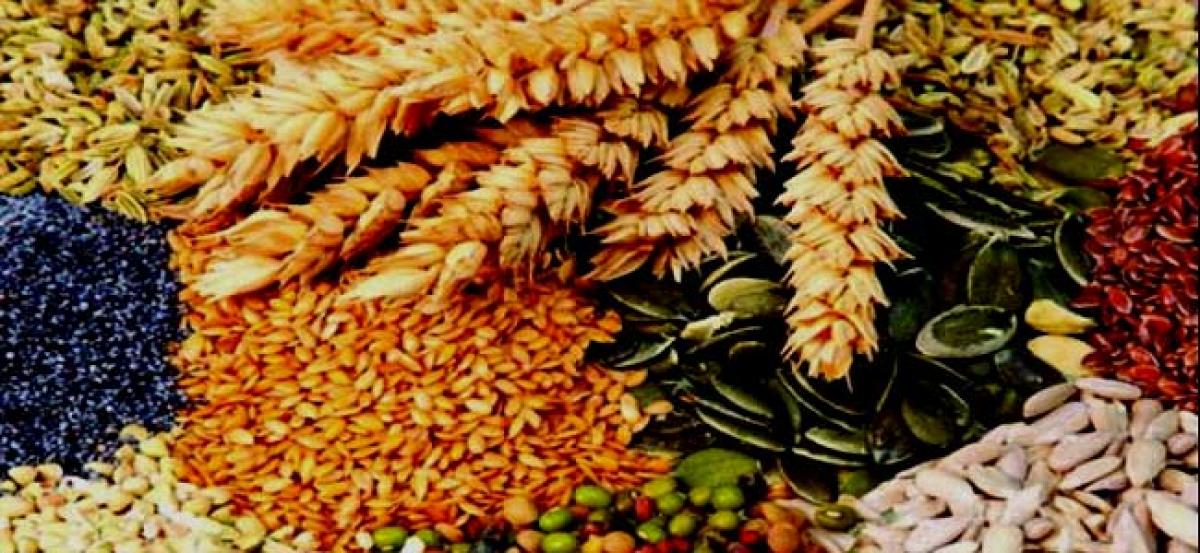 Fake seed companies raided, 154 cases booked